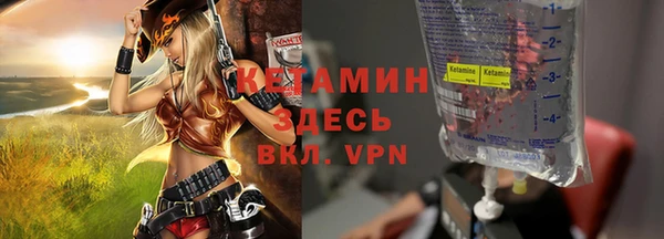 индика Новозыбков