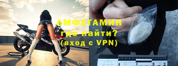 сатива Новокубанск