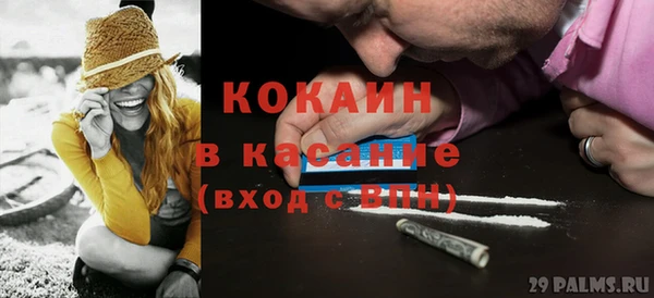 сатива Новокубанск