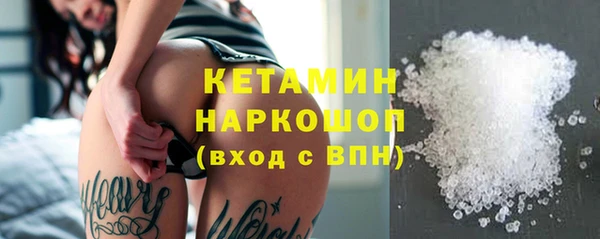 индика Новозыбков
