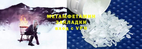 индика Новозыбков
