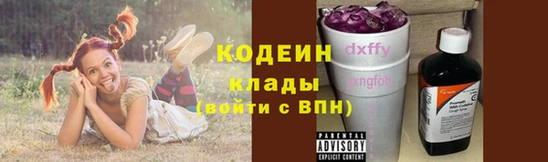 сатива Новокубанск