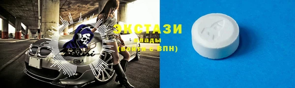 индика Новозыбков