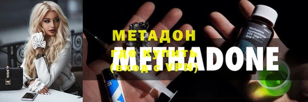 индика Новозыбков