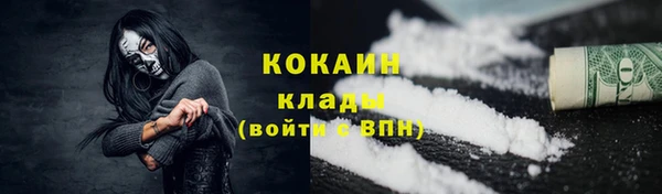 индика Новозыбков