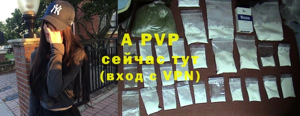 индика Новозыбков