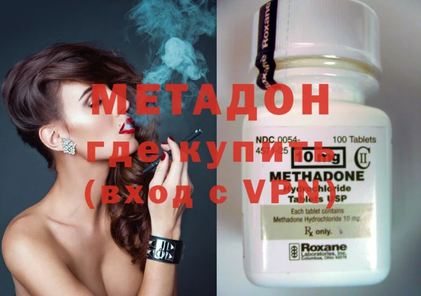 индика Новозыбков