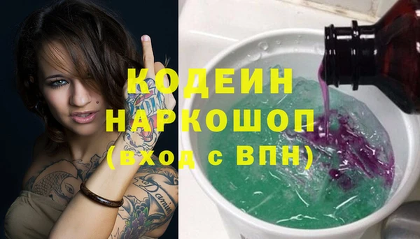 индика Новозыбков