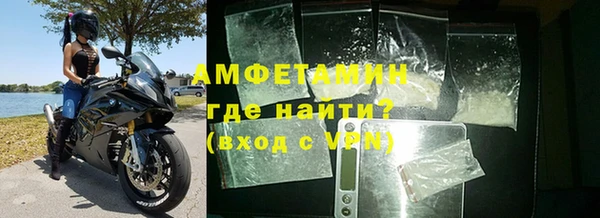 индика Новозыбков