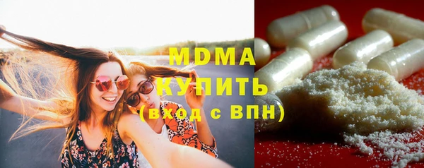 индика Новозыбков