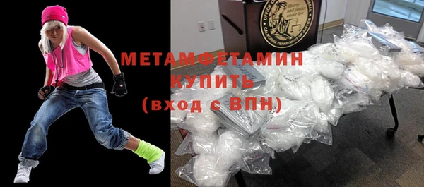 сатива Новокубанск