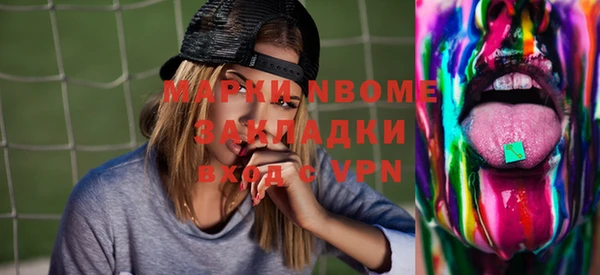 индика Новозыбков