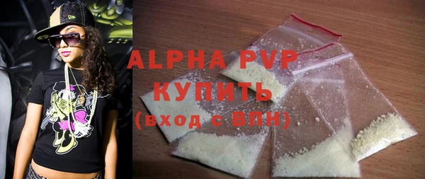 индика Новозыбков