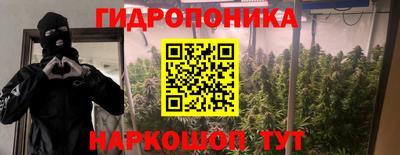стаф Гагарин
