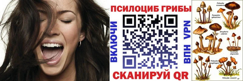 blacksprut рабочий сайт  Таганрог  Галлюциногенные грибы мицелий 