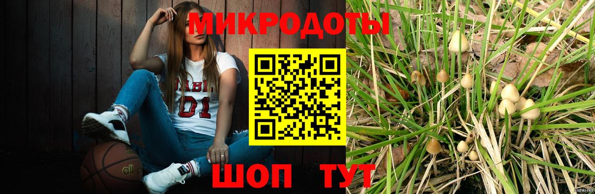 Галлюциногенные грибы Cubensis Таганрог